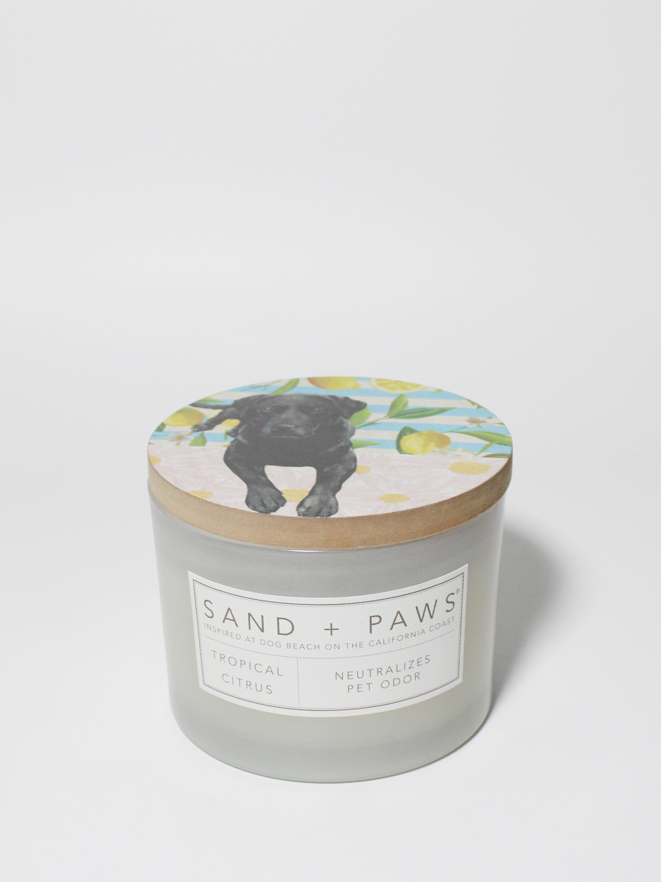 Sand + Paws Tropical Citrus 12 oz scented candle