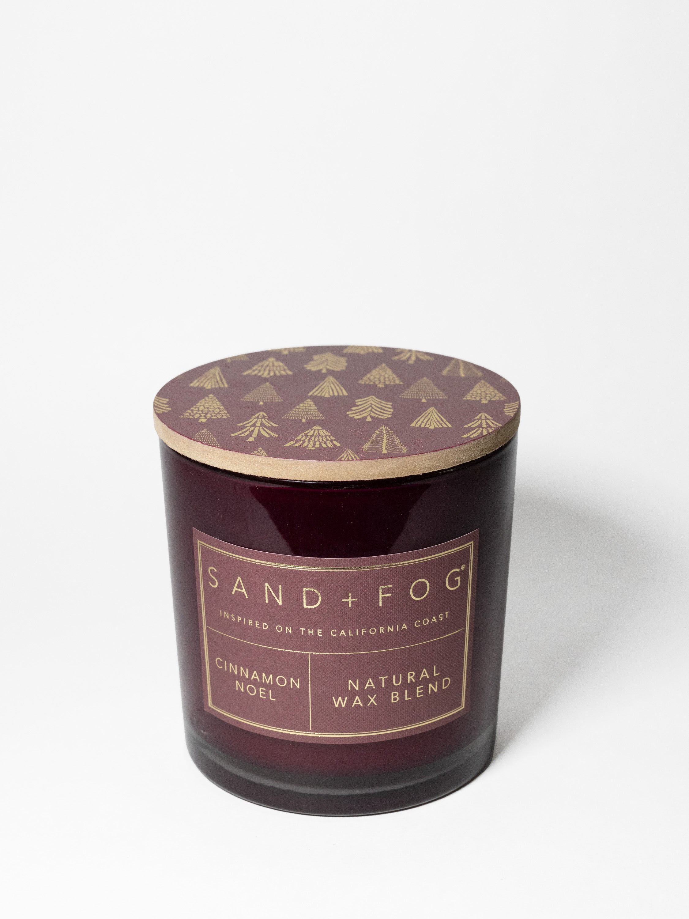 Cinnamon Noel 21 oz scented candle